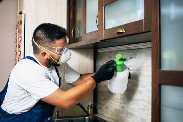 Wildlife Control Services in Sterling, IL