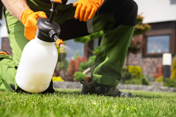 Best Pest Prevention Services  in Sterling, IL