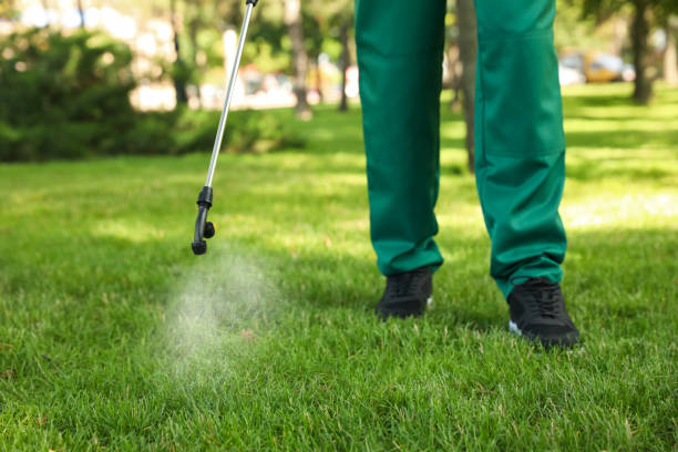 Best Wildlife Control Services  in Sterling, IL