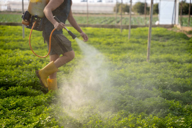 Best Best Pest Control Companies  in Sterling, IL
