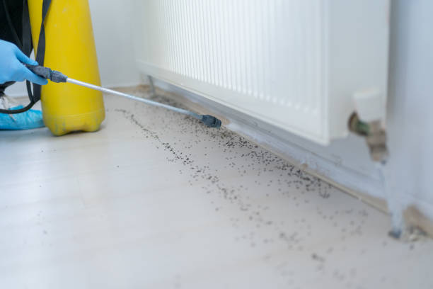 Best Best Pest Control Companies  in Sterling, IL
