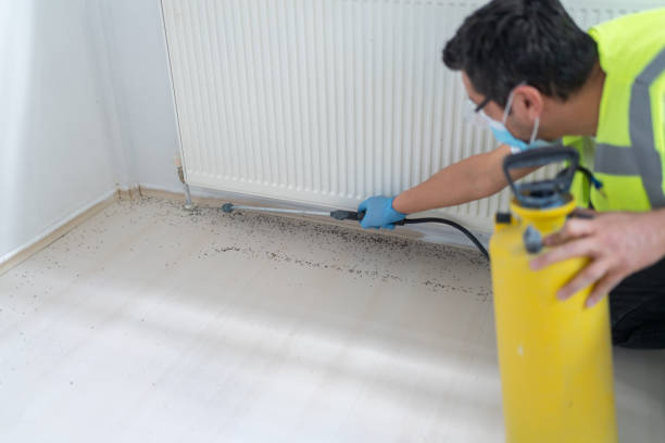 Trusted Sterling, IL Pest Control Experts