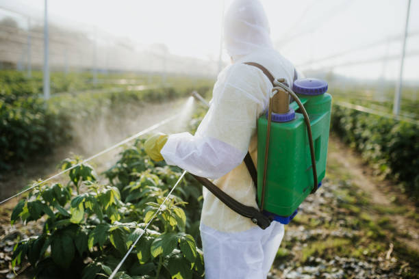 Pest Prevention Services in Sterling, IL